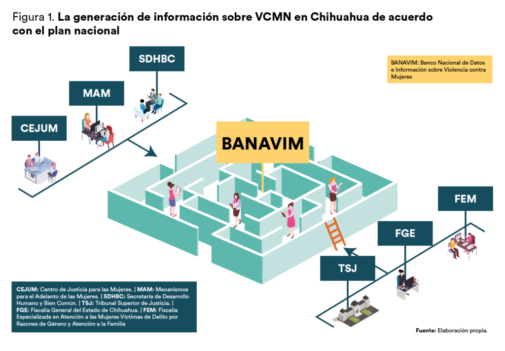 Generación de información sobre violencia contra las mujeres y las niñas.