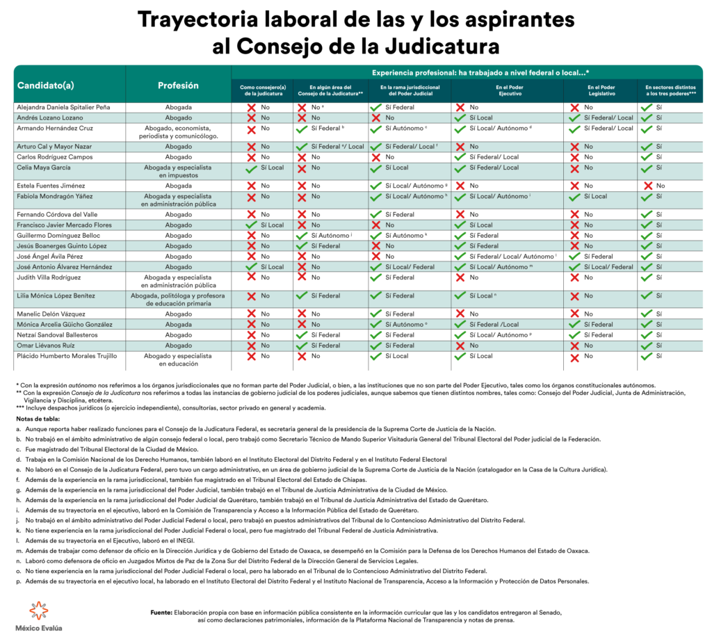 candidatos a consejeros de la judicatura, trayectoria laboral